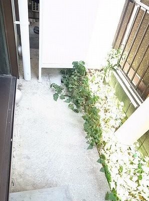 杉並区和泉４丁目楽器可(ピアノ・弦・管打楽器・声楽)マンション ベランダ