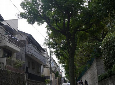 目黒区下目黒3丁目楽器可（ピアノ・弦管打楽器）マンション その他