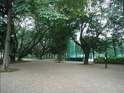 練馬区羽沢2丁目楽器可（ピアノ・管楽器・声楽）マンション その他