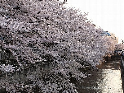 練馬区羽沢2丁目楽器可（ピアノ・管楽器・声楽）マンション その他