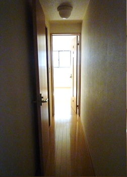 テラパレスⅢ その他5