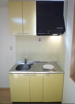 テラパレスⅢ キッチン