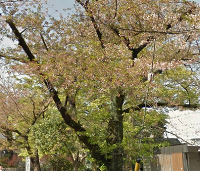 千代田区九段南3丁目楽器可（ピアノ・弦管打楽器・声楽）マンション その他