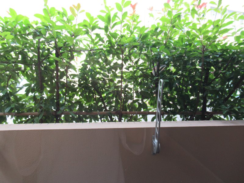 ハーモニーレジデンス清澄ガーデン ベランダ