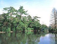 練馬区下石神井6丁目楽器可(グランドピアノ・弦・管打楽器・声楽)女性限定マンション その他