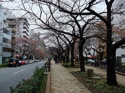 文京区小石川4丁目楽器可(ピアノ・弦楽器)マンション その他