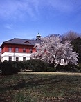 文京区小石川4丁目楽器可(ピアノ・弦楽器)マンション その他