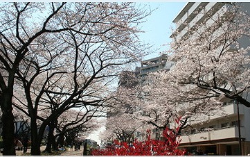 文京区小石川4丁目楽器可(ピアノ・弦楽器)マンション その他