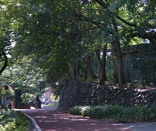 文京区根津2丁目楽器可(ピアノ・弦・管楽器・声楽)マンション その他