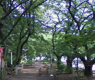 文京区根津2丁目楽器可(ピアノ・弦・管楽器・声楽)マンション その他