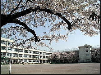 練馬区上石神井１丁目楽器可(ピアノ・弦管打楽器・声楽)マンション その他