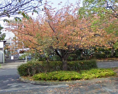 江戸川区平井6丁目楽器可（ピアノ・弦管打楽器・声楽）分譲マンション その他