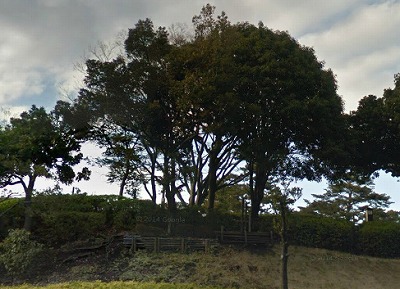 相模原市南区相模大野７丁目楽器可（防音・ピアノ・弦管楽器・声楽）マンション その他