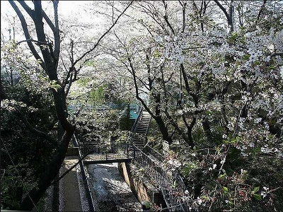 杉並区和泉2丁目楽器可（ピアノ・弦管楽器）マンション その他