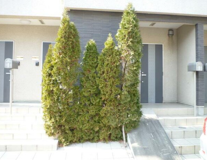 その他5