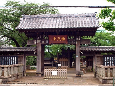 目黒区中町2丁目楽器可（ピアノ・弦管打楽器・声楽）デザイナーズマンション その他