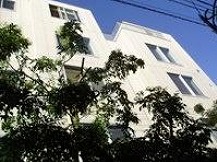 杉並区高円寺北3丁目楽器可(ピアノ・弦楽器)マンション 外観