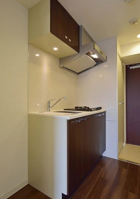 品川区大井4丁目楽器可（ピアノ・弦管打楽器・声楽）分譲デザイナーズマンション キッチン
