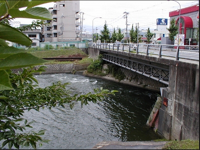 新宿区住吉町楽器可(防音・ピアノ・弦・管楽器・声楽)マンション その他