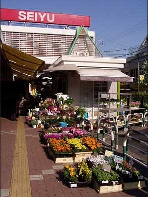練馬区谷原2丁目楽器可（ピアノ・弦管打楽器・声楽）マンション 玄関