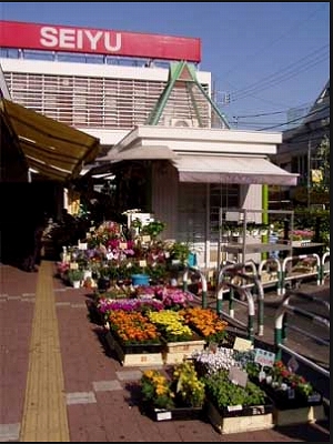 練馬区谷原2丁目楽器可（ピアノ・弦管打楽器・声楽）マンション その他