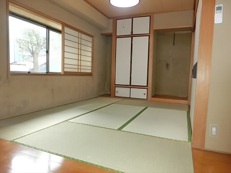 レイ・スギナミ その他3