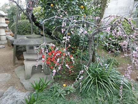 レイ・スギナミ その他6