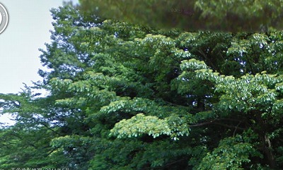 練馬区向山3丁目(防音・ピアノ・弦楽器・声楽)アパート その他