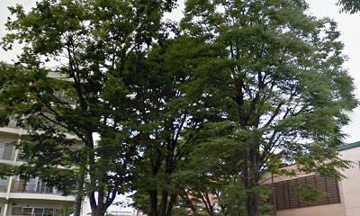 世田谷区梅丘2丁目楽器可（ピアノ・弦管楽器・声楽）アパート その他