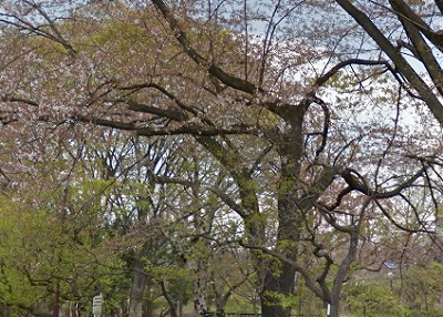 世田谷区梅丘2丁目楽器可（ピアノ・弦管楽器・声楽）アパート その他