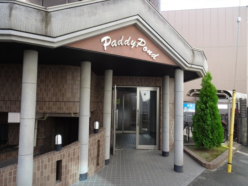 パディポンド その他1