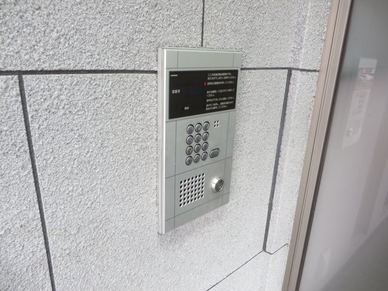 パディポンド その他2