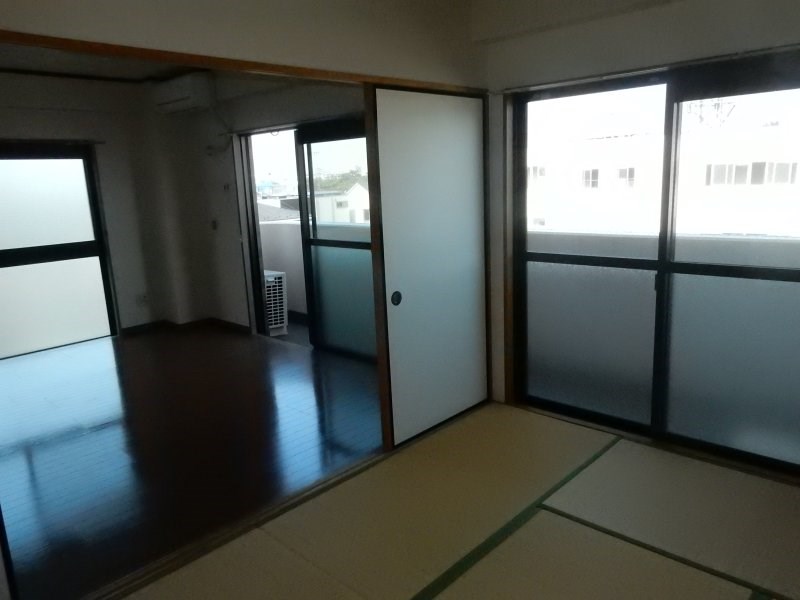 パディポンド その他7