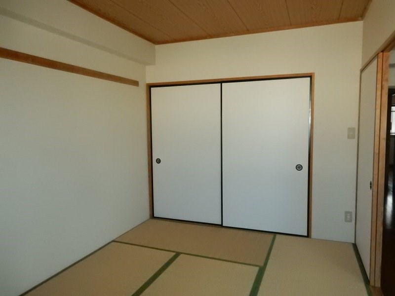 パディポンド その他8