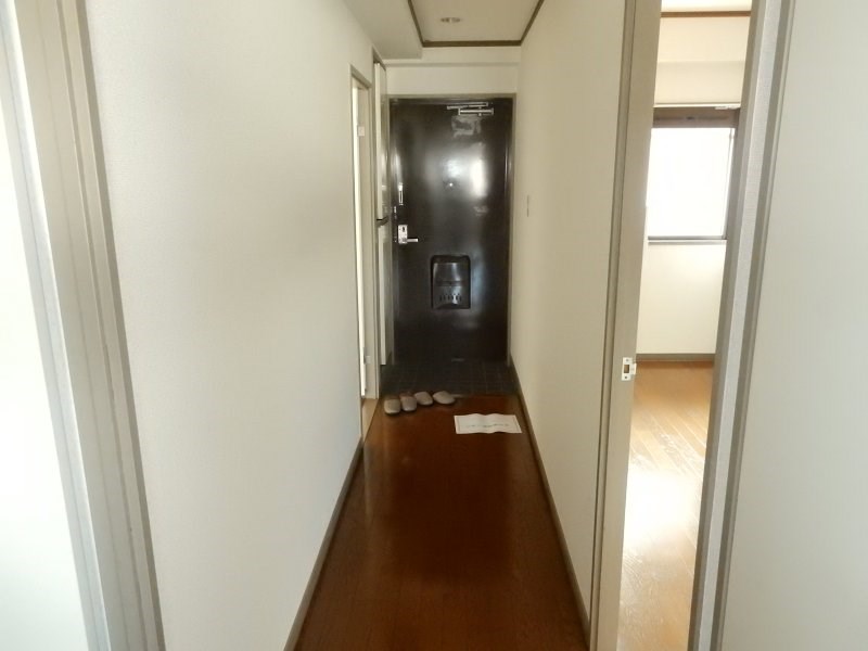 パディポンド その他15