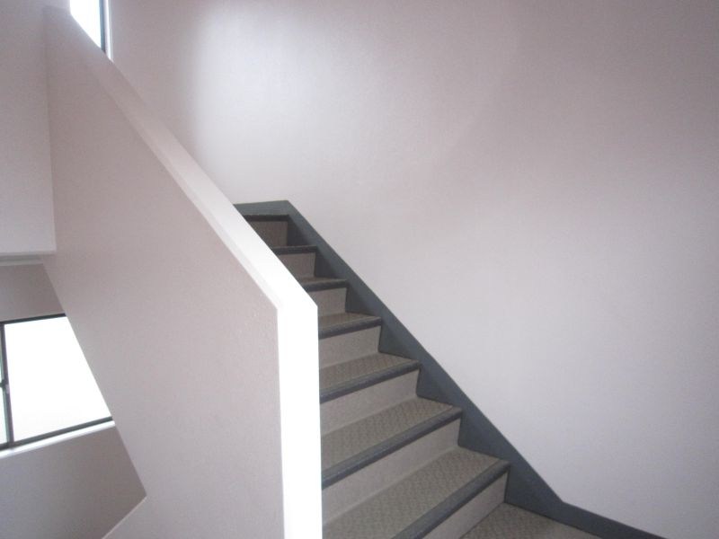 パディポンド その他17