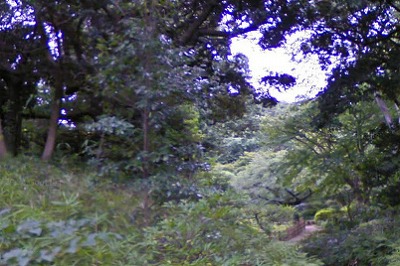 豊島区巣鴨１丁目楽器可（地下共用防音室・24時間演奏・ピアノ・弦管打楽器・声楽）デザイナーズマンション その他