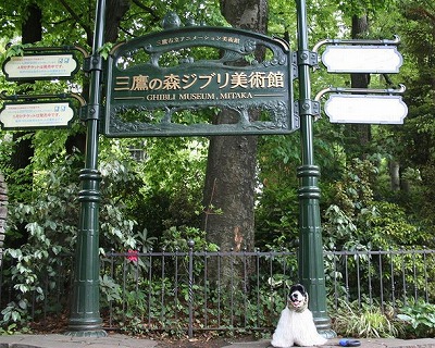 武蔵野市吉祥寺南町４丁目楽器可（ピアノ）分譲マンション その他