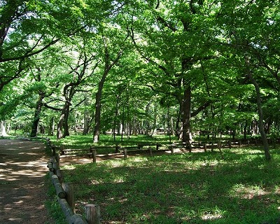武蔵野市吉祥寺南町４丁目楽器可（ピアノ）分譲マンション その他
