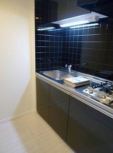 新宿区西新宿5丁目楽器可（ピアノ・弦管打楽器・声楽）マンション キッチン