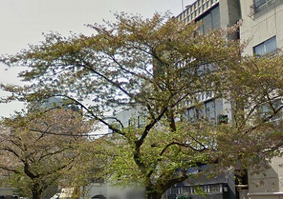 練馬区桜台１丁目楽器可（グランドピアノ・声楽）マンション その他