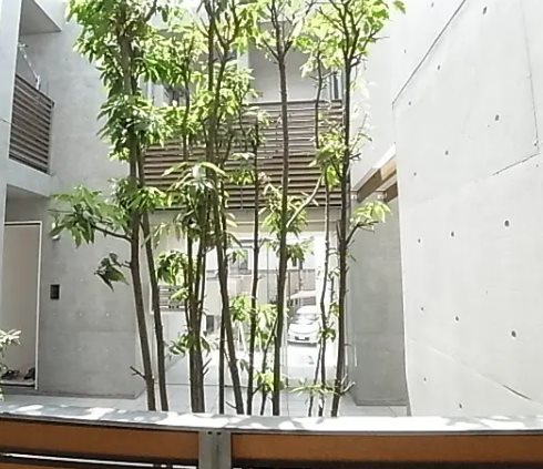 調布市国領町6丁目楽器可（ピアノ・グランドピアノ・管楽器）マンション その他共有部分