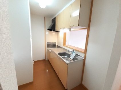 プラシード五番館 キッチン