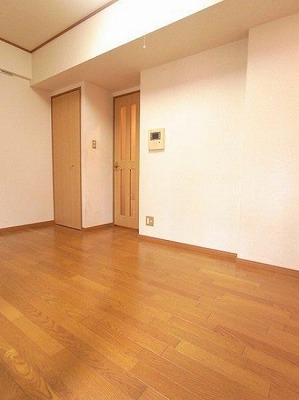 千代田区三番町楽器可（弦楽器）マンション リビング