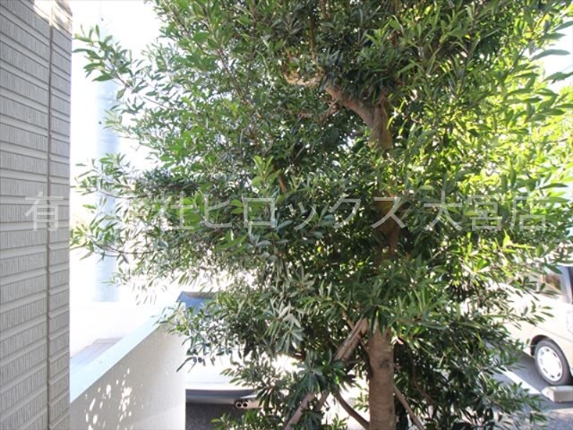 Wing Court その他12