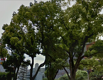 品川区南大井4丁目楽器可（ピアノ・弦楽器）分譲マンション その他
