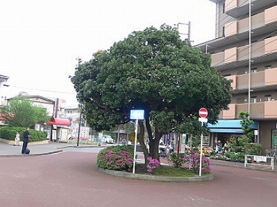 府中市緑町3丁目楽器可(防音・ピアノ・弦・管楽器・声楽)マンション その他