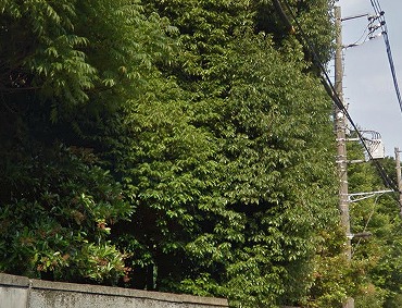 文京区音羽１丁目楽器可（ピアノ・弦管打楽器・声楽）築浅分譲マンション その他