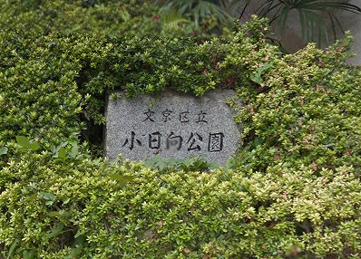 文京区音羽１丁目楽器可（ピアノ・弦管打楽器・声楽）築浅分譲マンション その他