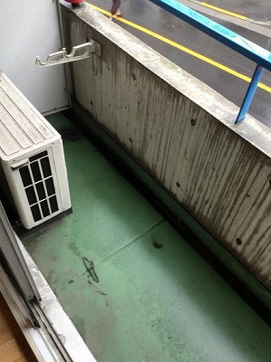 豊島区上池袋１丁目楽器可(ピアノ・弦楽器)マンション ベランダ